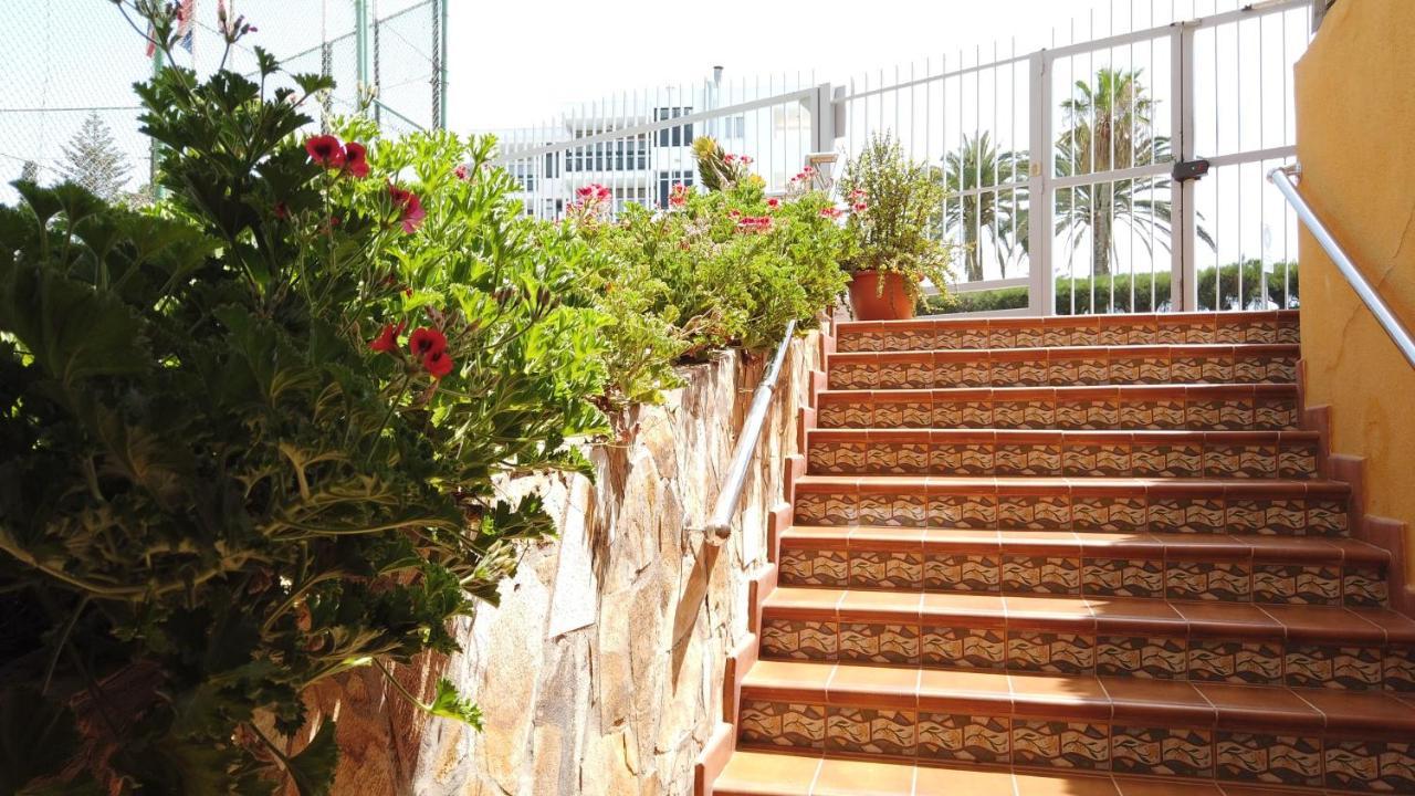 פלאייה דל אינגלז Apartamentos Montemar מראה חיצוני תמונה